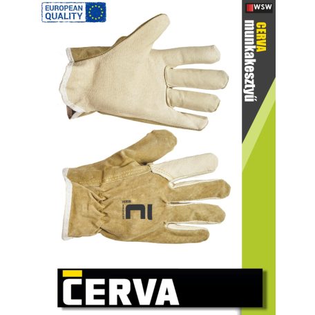 Cerva HERON bőr kesztyű - munkakesztyű - 12 pár/csomag