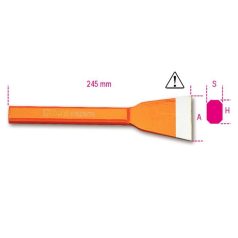 Széles laposvéső_1702N